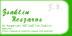 zsaklin meszaros business card